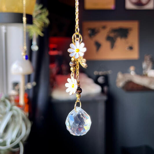 Suncatcher Dasies